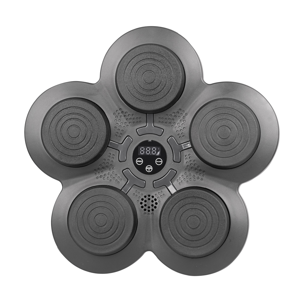 Wall-Mounted Punching Target Insportline Smartpunch