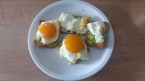 avokado tost