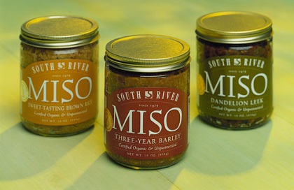 Miso