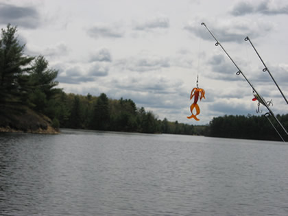Pecanje
