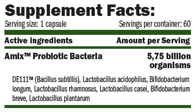 Probio Forte - 60 kapsula