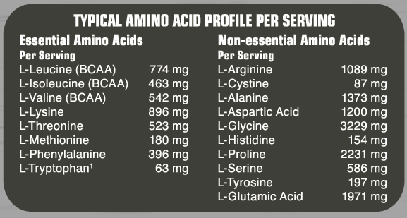 Amino Fuel Liquid - 474 ml